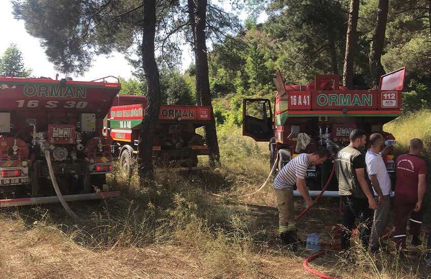 Bursa'da iki noktada orman yangını!