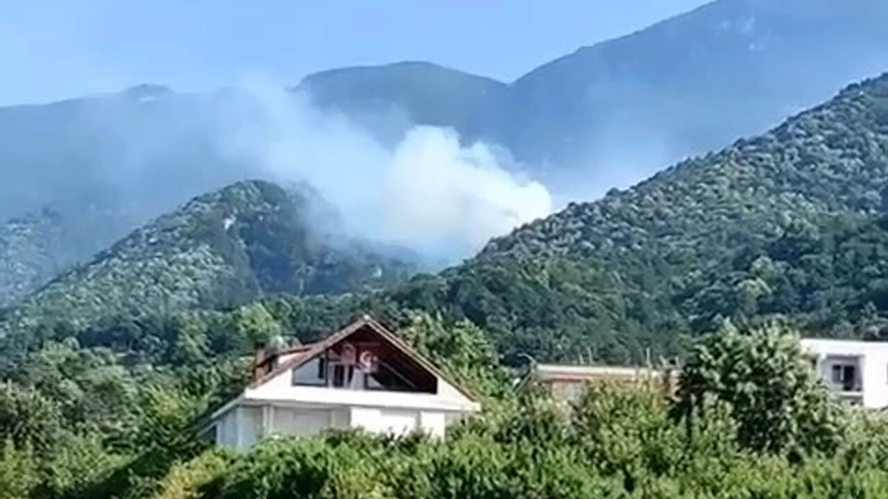 Kahramanmaraş'ta 21 hektar kül oldu! Orman yangını kontrol altında