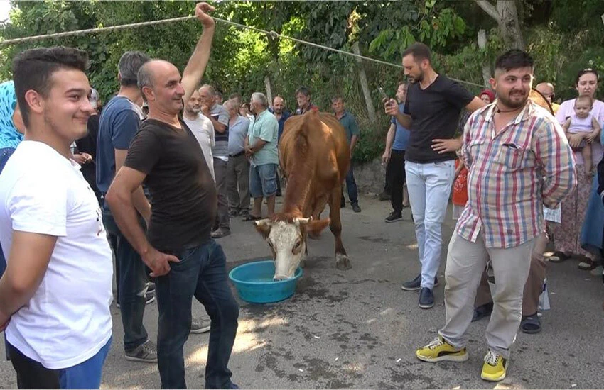 Köylüler susuzluktan dert yandı: İnekleriyle yolu kapattılar! Duş almak için...