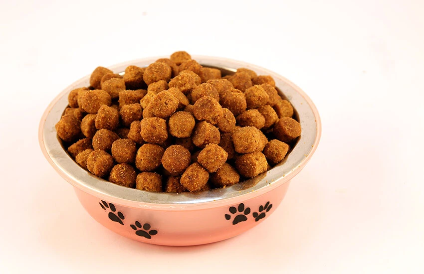 Türkiye kedi-köpek maması ihracatını katladı: Hedef 100 milyon dolar aşmak