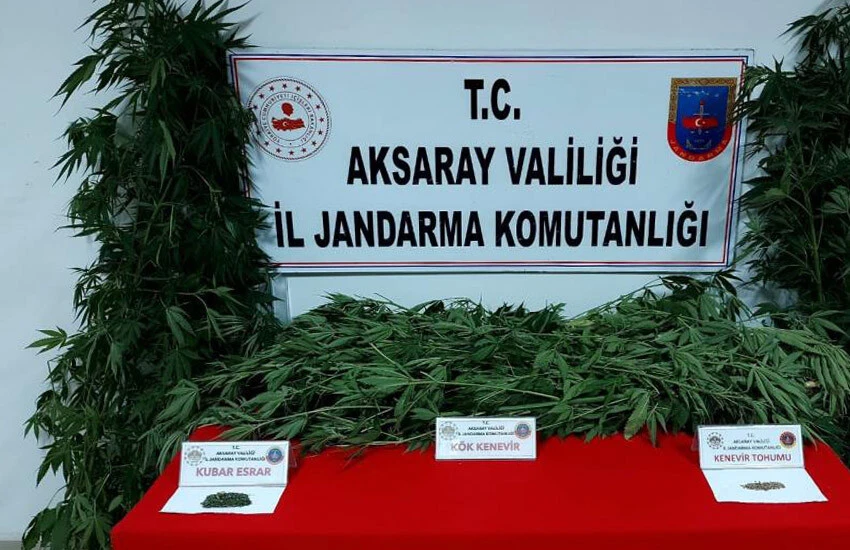 Aksaray'da 120 gram kubar esrar maddesi ve 10 gram kenevir bitkisi tohumu ele geçirildi.
