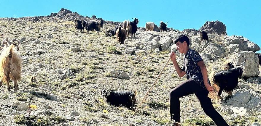 Çobanlık yaparken LGS'de Türkiye 2.si oldu! Başarısının sırrını tek tek açıkladı