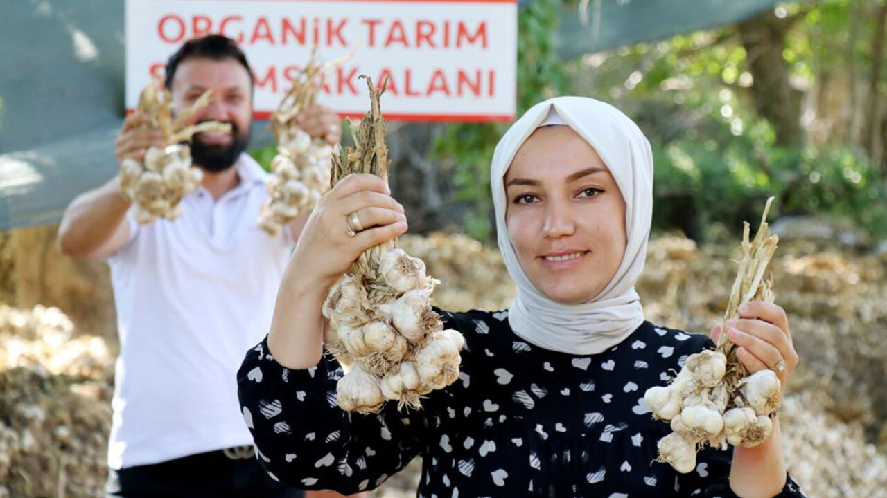 Rusya taklit etti, başaramadı! Organik ve GDO’suz antibiyotikte talep patlaması