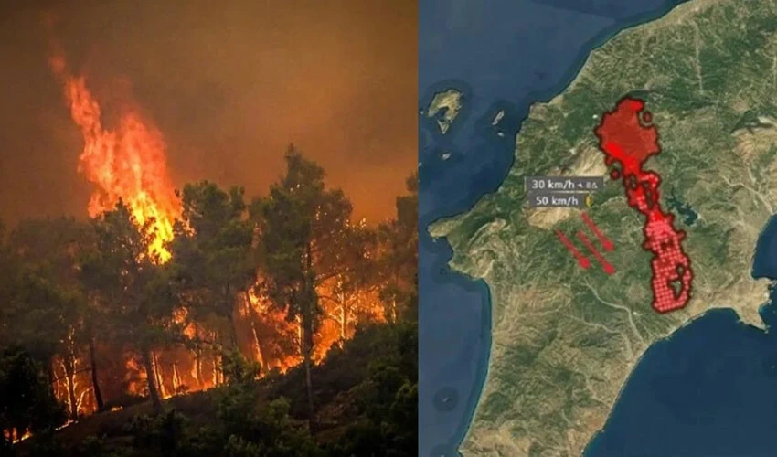 Yunanistan alevlere teslim: Rodos'un ardından Korfu'da orman yangını