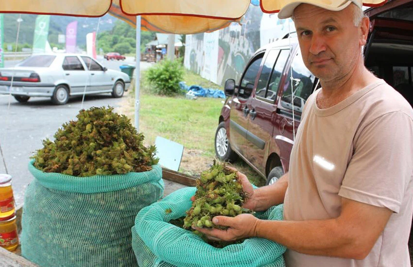 Ordu'da yaş fındık satan üreticiler satışların düşük olduğundan yakındı.