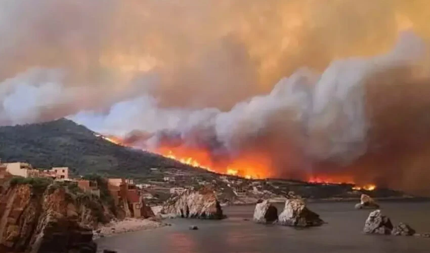 Cezayir'deki orman yangınları ölümleri de beraberinde getirdi: Onlarca kişi hayatını kaybetti
