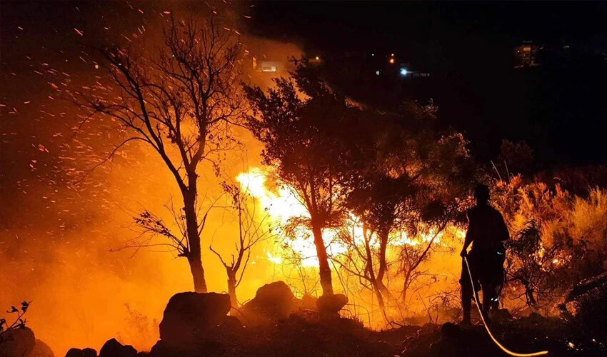 Cezayir'deki orman yangınları ölümleri de beraberinde getirdi: Onlarca kişi hayatını kaybetti