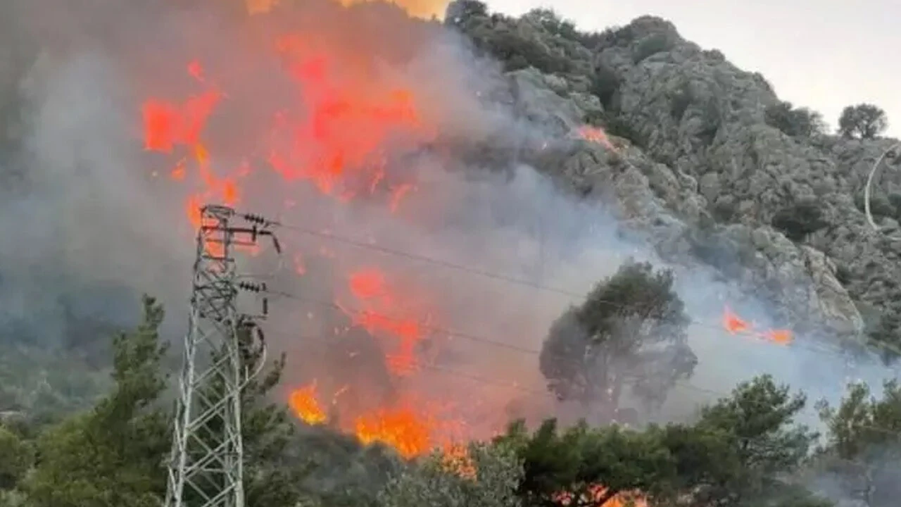 Muğla'da ciğerlerimizi yakan yangının nasıl çıktığı belli oldu: Bir izmarit her şeyi kül etti
