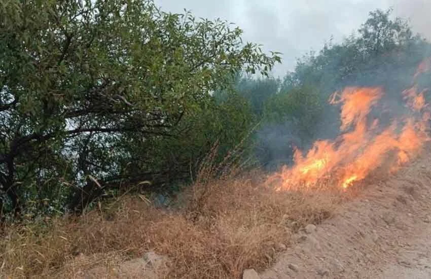 Türkiye alev alev yanıyor! Birçok ilde tahliyeler başladı