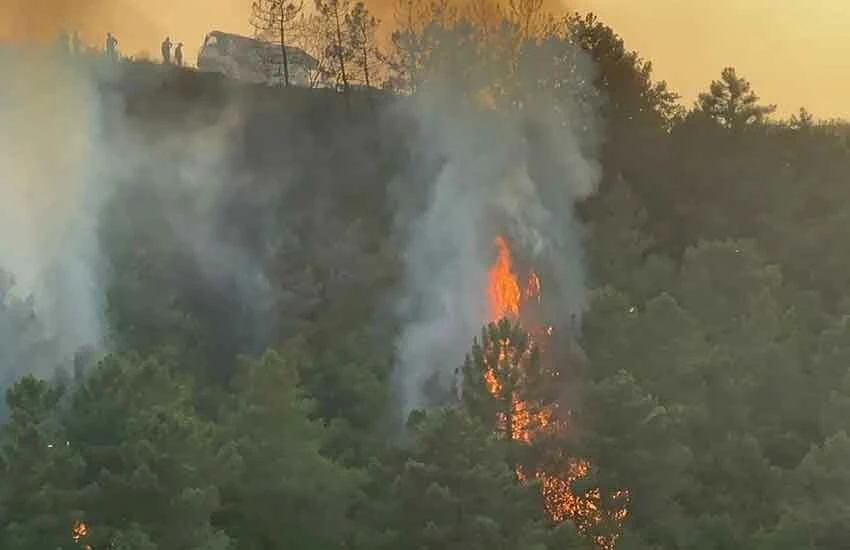 Türkiye alev alev yanıyor! Birçok ilde tahliyeler başladı