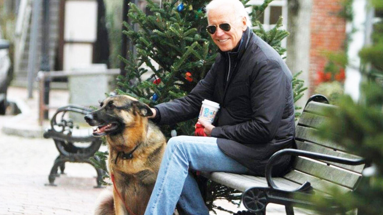 Joe Biden&#039;a şok: köpeği 4 ayda 7 kişiyi ısırdı 