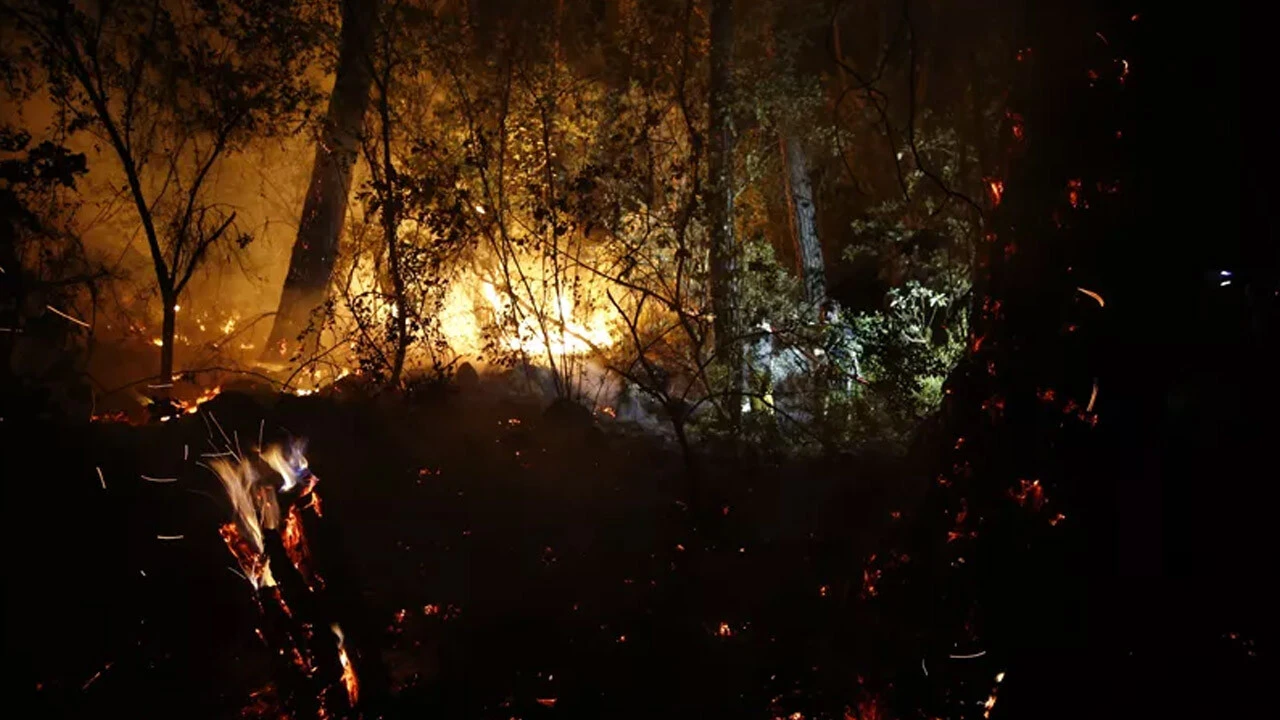 Kemer'de orman yangını 
