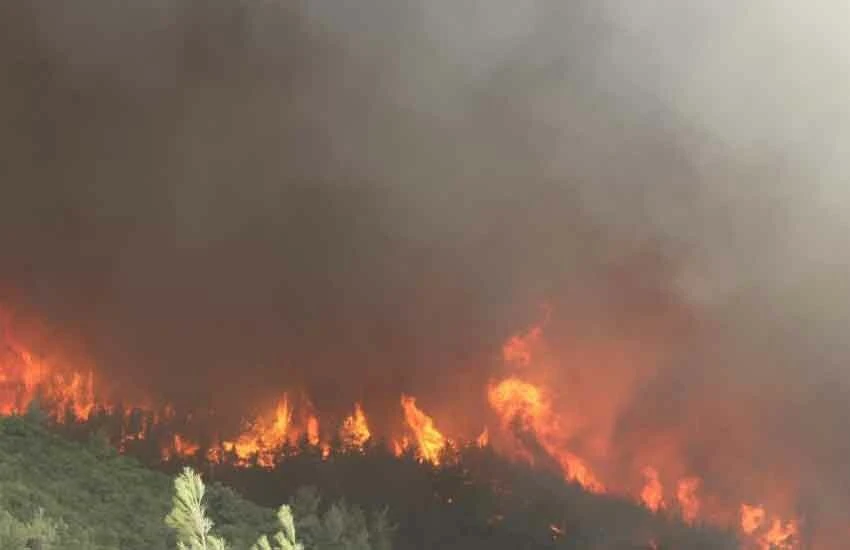 Türkiye alev alev yanıyor! Birçok ilde tahliyeler başladı