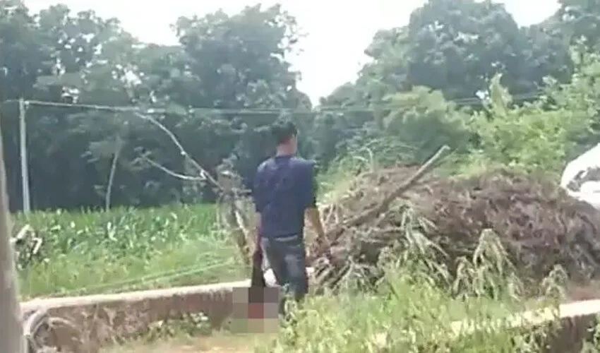 Korkunç kardeş cinayeti! Kesik başıyla sokak sokak gezdi