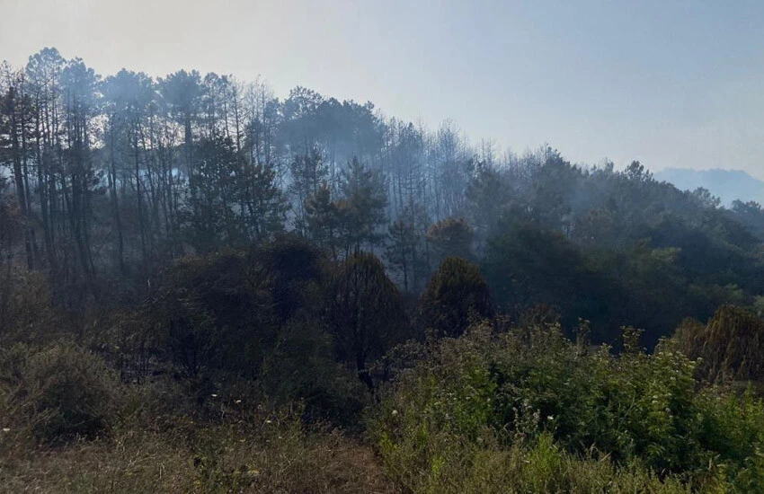 Son dakika! Beykoz'da <a href=