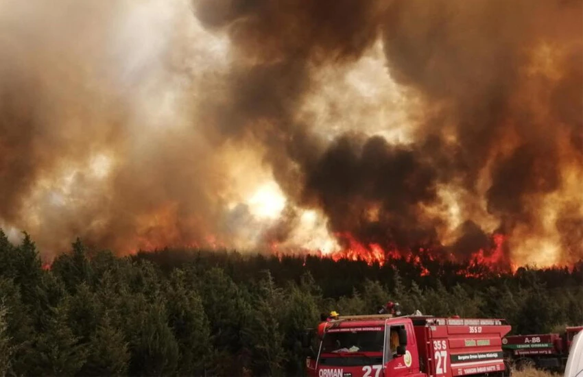 Çanakkale'de orman yangını! Gece başladı, müdahale sürüyor... Alevler havadan görüntülendi