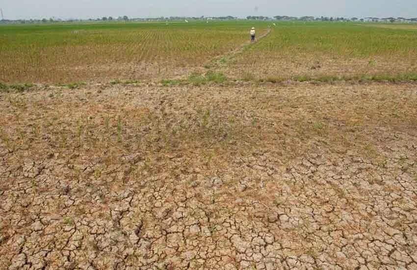 BM, küresel sıcaklıklara karşı harekete geçti