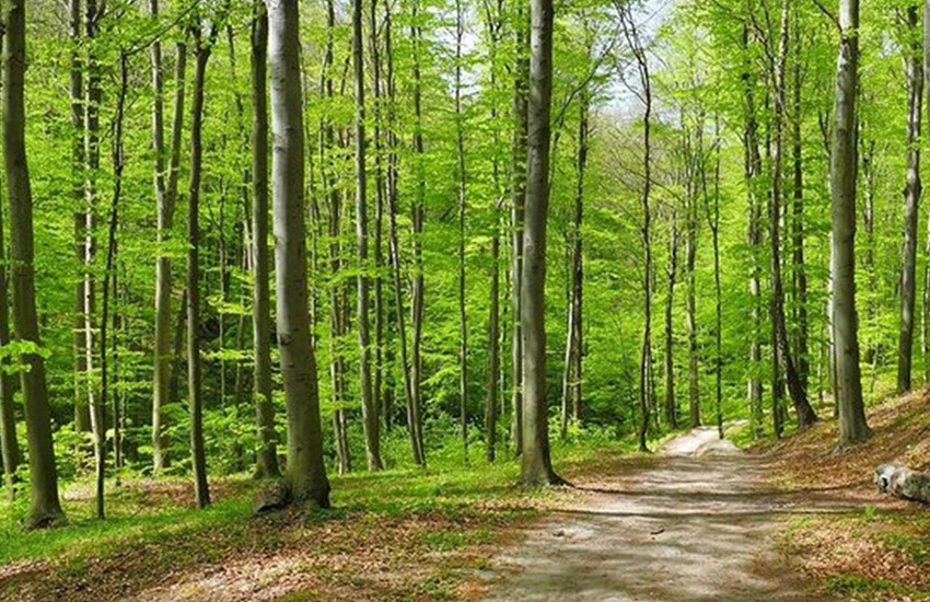 Samsun Valiliği'nden <a href=