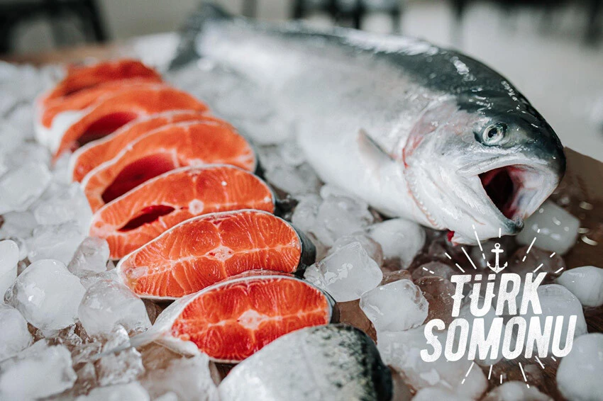türk somonu