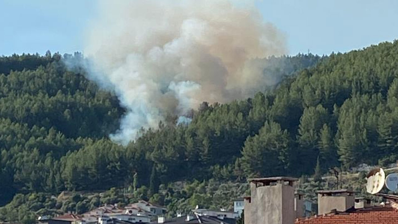 Muğla&#039;da orman yangını: Ekipler seferber oldu