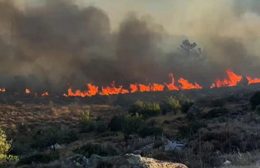 Bodrum Türkbükü'nde korkutan yangın! Alevler konutlara yaklaştı
