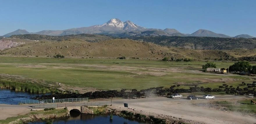 Burası Avrupa, Asya ve Afrika'nın göç rotası... Kesin korunacaklar listesine alındı
