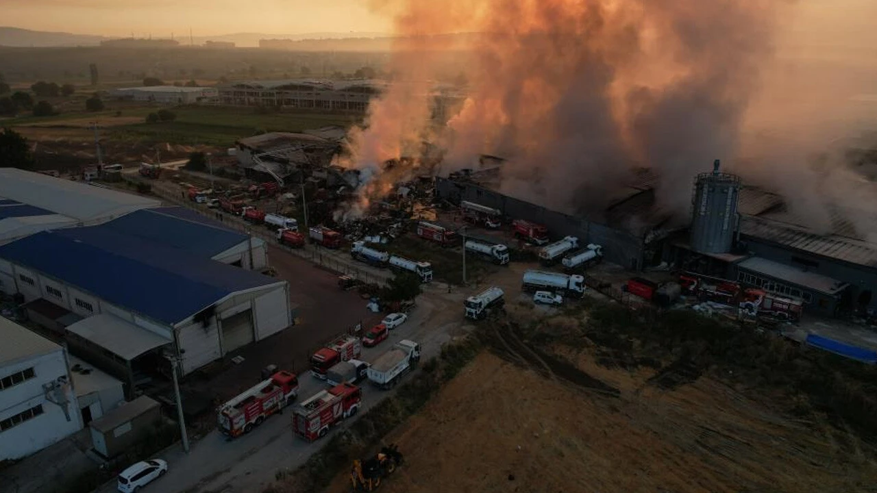 Fabrikaları küle çeviren yangının izleri gün ışığıyla ortaya çıktı