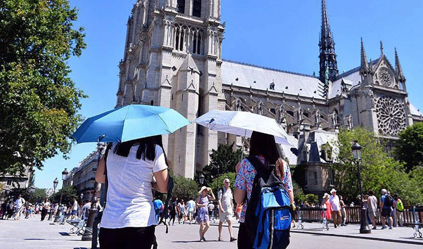 Aşırı sıcaklar Avrupa'yı kavurdu! Fransa'da bir haftada 80 kişi öldü