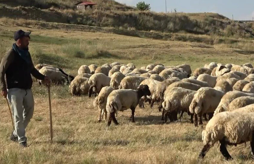 Köylerine dönen vatandaşlar, ülke ekonomisine tarım ve hayvancılıkla katkı sağlayacak.