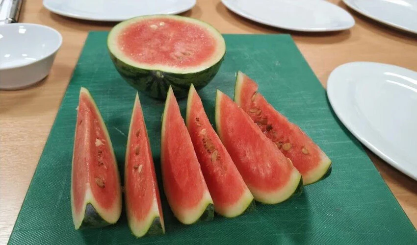 Dünyanın en soğuk noktasında karpuz yetişti!