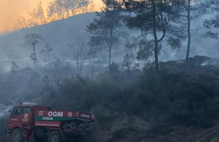 Bilecik’te korkutan orman yangını