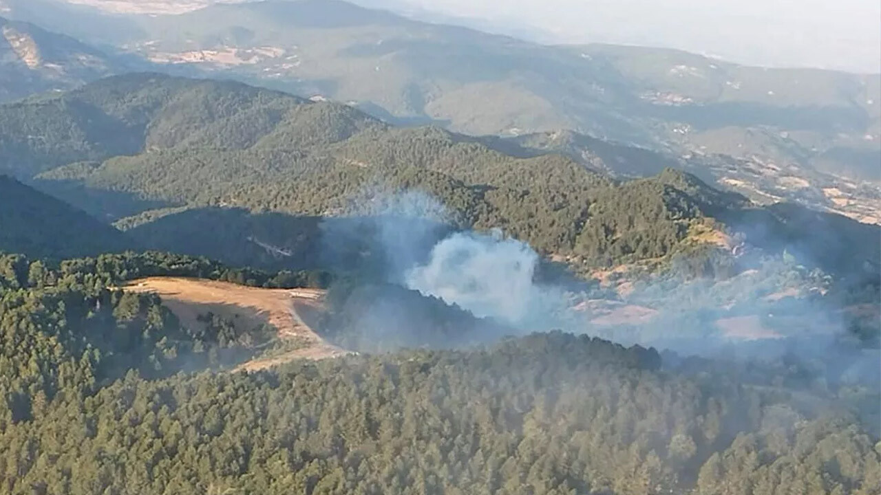 Balıkesir'de korkutan orman yangını: Dumanlar hızla yükseldi