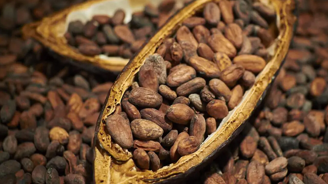 Tatsız haber: Kakao fiyatları bir yılın zirvesinde, paketler küçülebilir