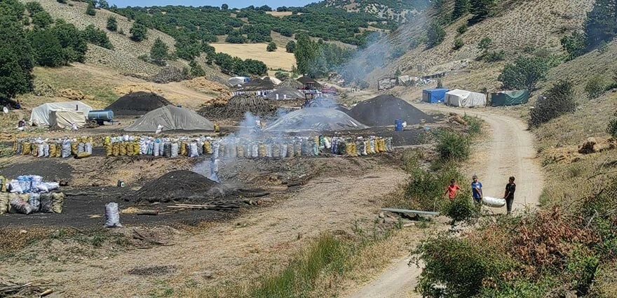 İki sıcak arasında zorlu mesai! Mangal kömürü işçileri ekmek parası için alın teri döküyor