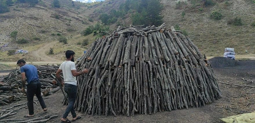 İki sıcak arasında zorlu mesai! Mangal kömürü işçileri ekmek parası için alın teri döküyor