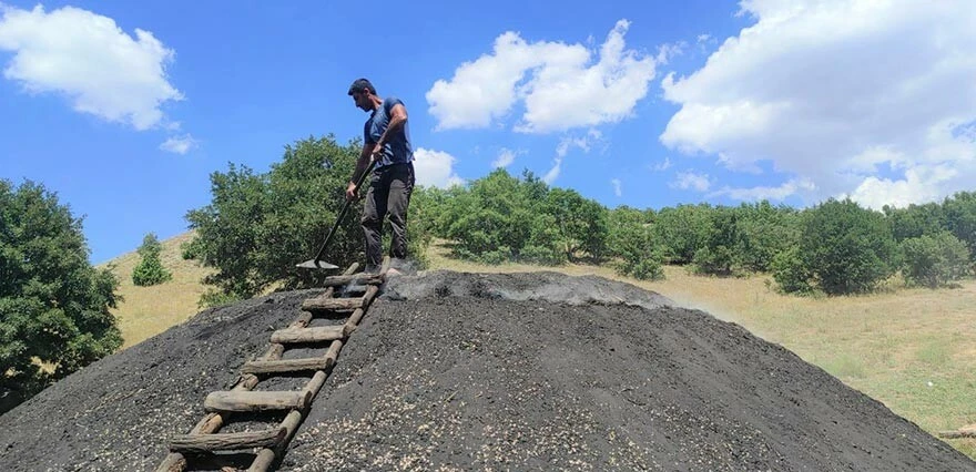 İki sıcak arasında zorlu mesai! Mangal kömürü işçileri ekmek parası için alın teri döküyor