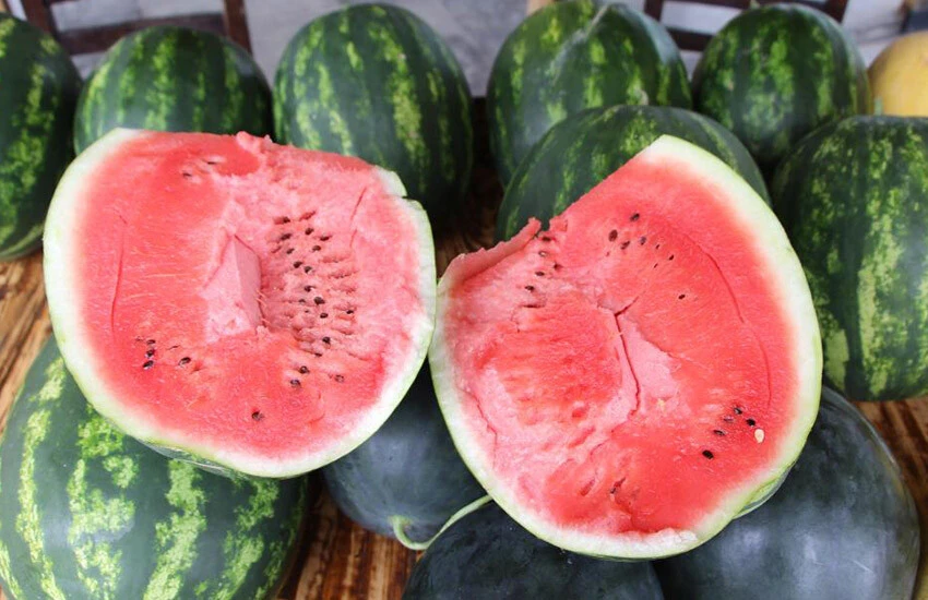 350 tondan 50 tona kadar düştü! Tehlike altındaki Yalıncak karpuzunun fiyatı belli oldu