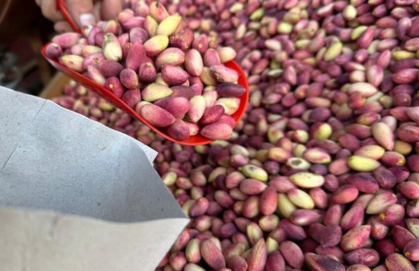 Yeşil altın olarak bilinen Antep fıstığı tezgahlardaki yerini aldı.