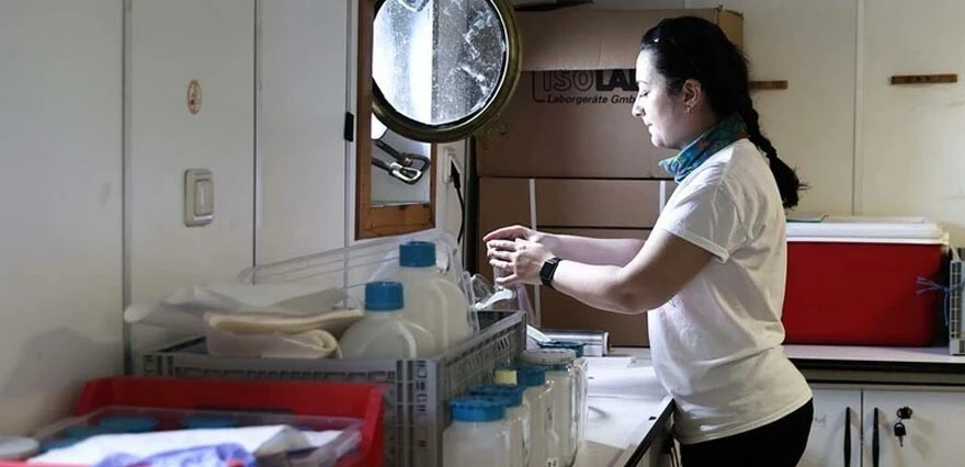 Türkiye'de 'medüz' tehlikesi! 2 denizi istila etti...