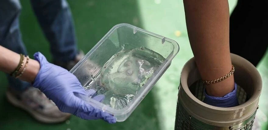 Türkiye'de 'medüz' tehlikesi! 2 denizi istila etti...