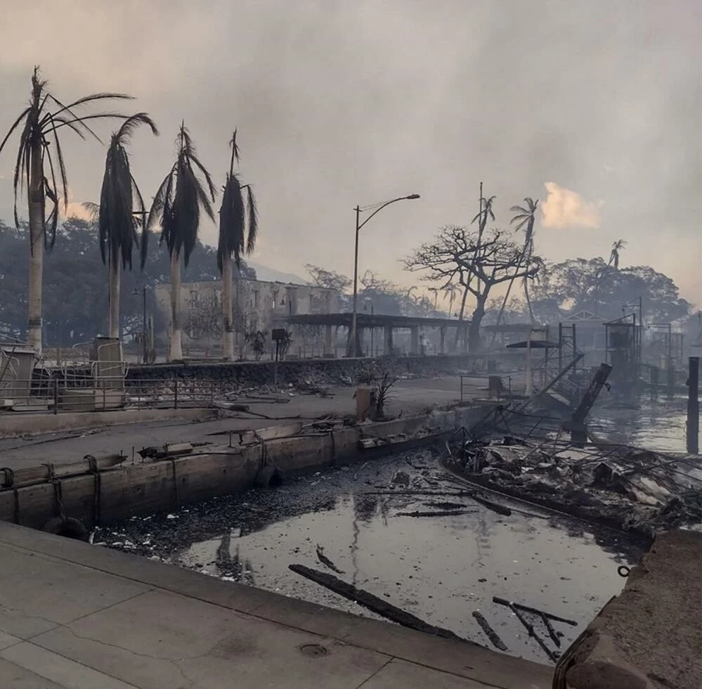 Acil durum sirenlerinin çalmadığı iddiası ortalığı karıştırdı! Hawaii yangınında acı bilanço