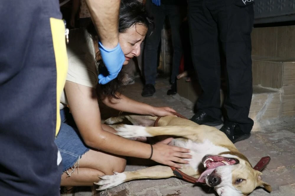 Adana'da çıkan yangında can pazarı! 20 kişi hastanelik oldu