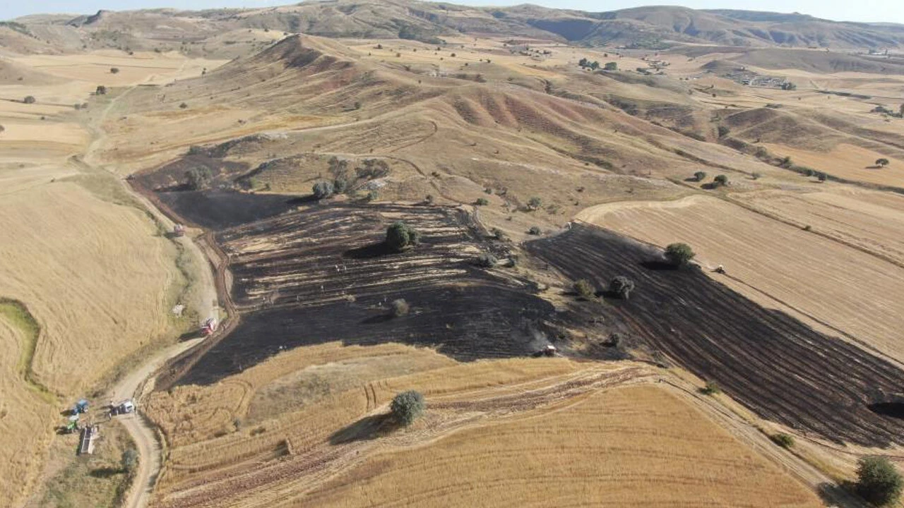 Ateşle oyun pahalıya patladı: 50 dönüm buğday tarlası küle döndü