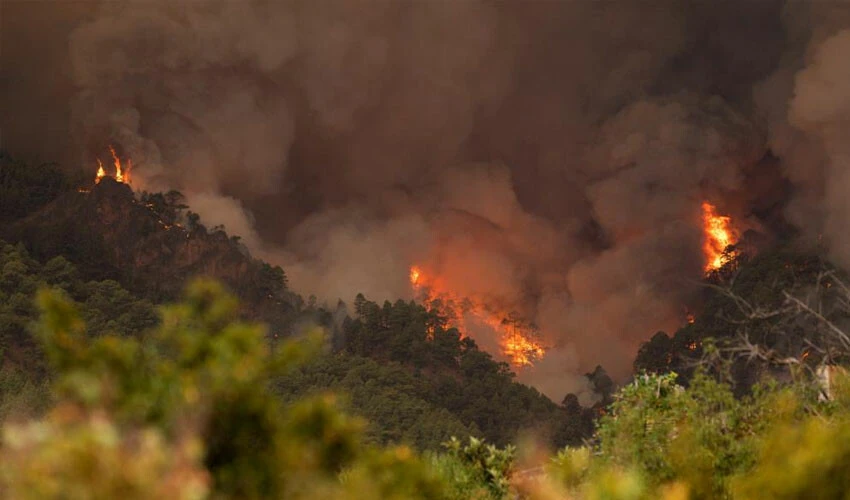 İspanya'daki yangın söndürülemiyor! Her geçen gün daha da yayılıyor: Bin 800 hektar küle döndü