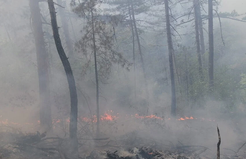 Bolu'da alevler bir anda yükseldi: Ekipler teyakkuzda