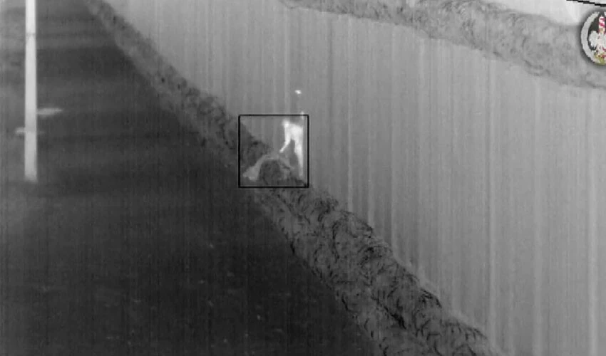 Bazen gruplarla saldırıyorlar bazen tek tek! Polonya'da sınırı böyle geçmeye çalışıyorlar