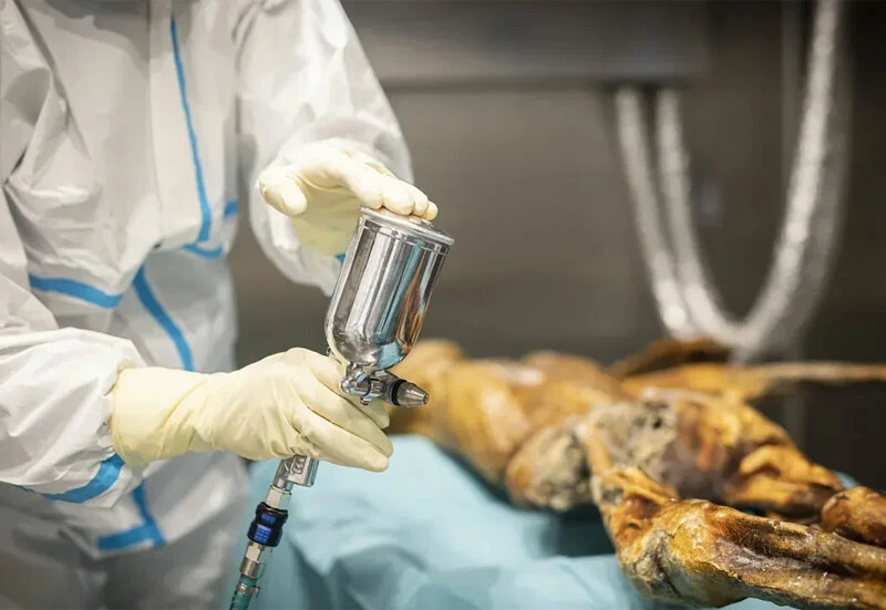 Meğer kökeni Türkiye'deymiş... Buz adam Ötzi’nin sırrı yıllar sonra ortaya çıktı