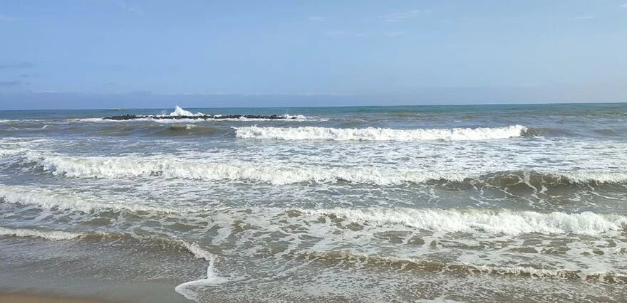 Yine kırmızı bayrak asıldı... Sakarya'da 3 ilçede denize girmek yasak!