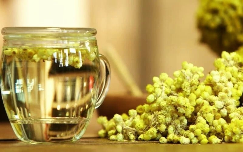 Basur derdinin devası meğer bu bitkide saklıymış! İşte 16 hastalığa anında şifa dağıtan doktor gibi bitki…