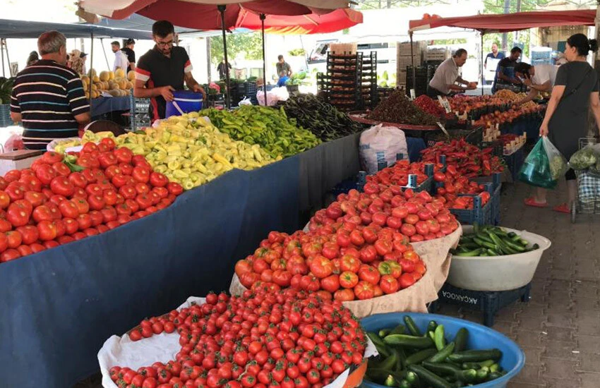 Üreticiden 'aracı' isyanı: Markette 30 liraya alacağınıza tarladan 4 liraya alın